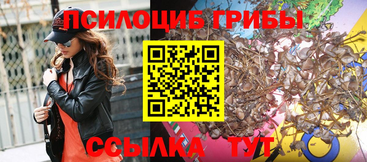 Галлюциногенные грибы мухоморы  Вход с VPN  Чехов 